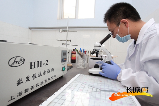 梁東彬在實驗室進行種羊精子活力指標測定。陳曉東 閆宗春 攝